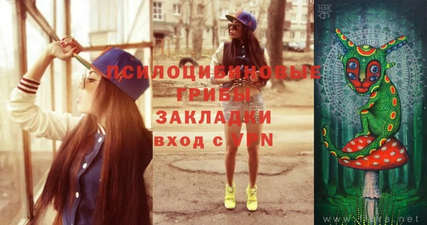 молекула духа Белокуриха