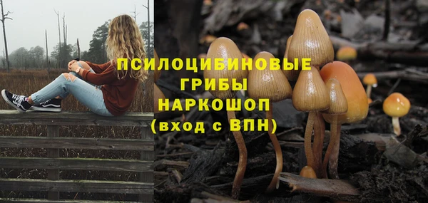 молекула духа Белокуриха